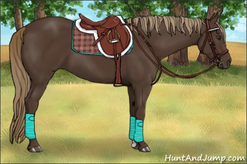 Horse Color:Liver Chestnut 