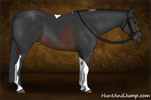 Horse Color:Brown Tobiano 