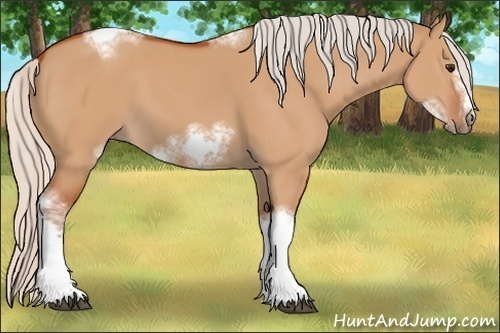 Horse Color:Silver Bay Dun Sabino Tobiano Frame Rabicano