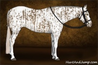 Horse Color:Chocolate Palomino Roan Tobiano and Chocolate Palomino Roan Appaloosa