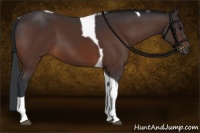 Horse Color:Brown Tobiano