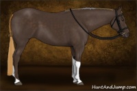 Horse Color:Liver Chestnut Tobiano