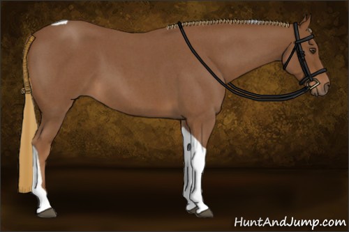 Horse Color:Red Roan Tobiano