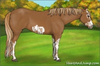 Horse Color:Chestnut Splash Frame  and Chestnut Splash Frame 