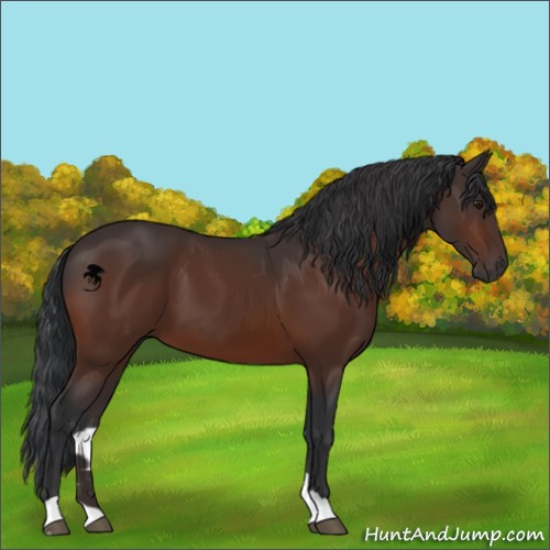Horse Color:Brown 