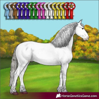 Horse Color:Liver Red Dun Mushroom Appaloosa 