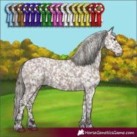 Horse Color:Liver Red Dun Mushroom Snowflake Varnish