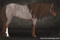 Horse Color:Liver Red Roan 