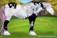 Horse Color:Painted White Spotted Sable Champagne Pearl Splash Varnish