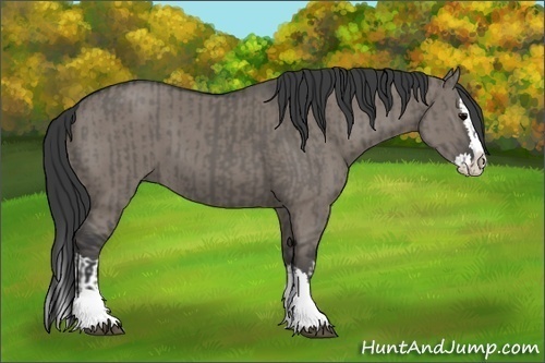 Horse Color:Grullo Sabino Splash and Grullo Sabino Splash