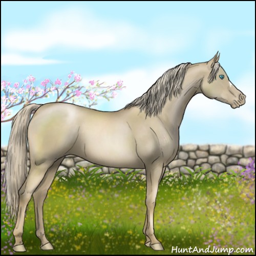 Horse Color:Chocolate Palomino Pearl 