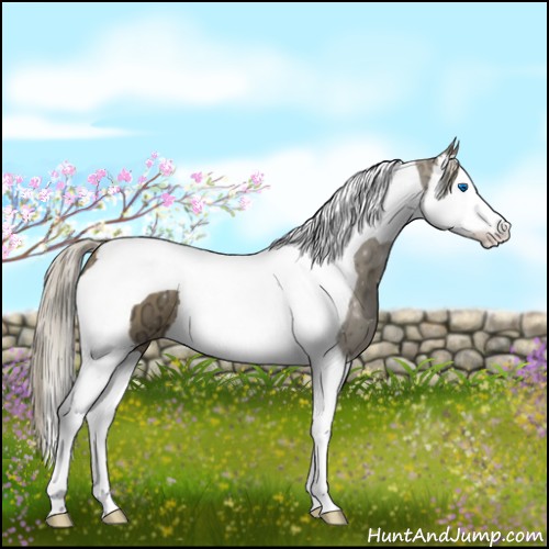 Horse Color:Chocolate Palomino Ice Splash Tobiano