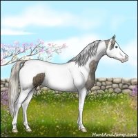 Horse Color:Chocolate Palomino Ice Splash Tobiano