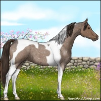 Horse Color:Liver Red Roan Tobiano 