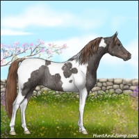 Horse Color:Liver Chestnut Ice Tobiano