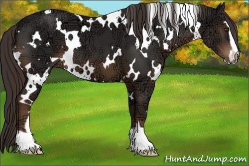 Horse Color:White Spotted Liver Chestnut Ice Sabino 