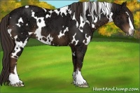 Horse Color:White Spotted Liver Chestnut Ice Sabino