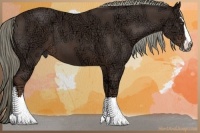 Horse Color:Liver Chestnut Ice Sabino 