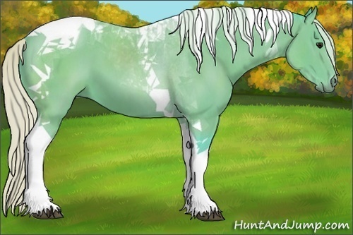 Horse Color:Watercolor Silver Black Tobiano 