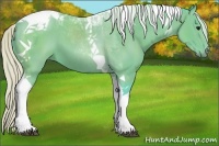 Horse Color:Watercolor Silver Black Tobiano 