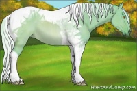 Horse Color:Watercolor Silver Brown Dun Tobiano 