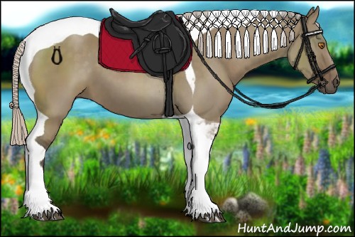 Horse Color:Silver Grullo Tobiano 