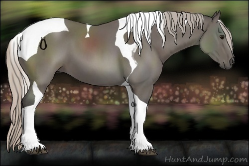 Horse Color:Silver Black Tobiano