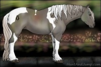 Horse Color:Silver Black Tobiano