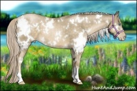 Horse Color:White Spotted Chocolate Palomino Pearl