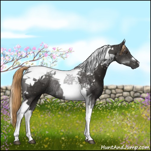 Horse Color:Liver Chestnut Tobiano Rabicano 