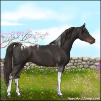 Horse Color:Liver Chestnut Tobiano 