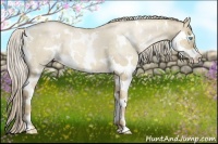 Horse Color:White Spotted Chocolate Palomino Pearl Dun Splash 