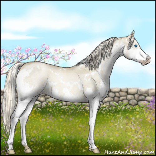 Horse Color:White Spotted Chocolate Palomino Pearl Dun Splash 