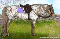Horse Color:White Spotted Chocolate Palomino Roan Blanket Rabicano 