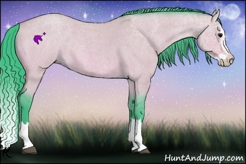 Horse Color:Watercolor Bay Roan Dun Splash Rabicano
