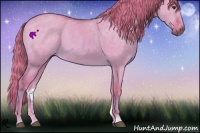 Horse Color:Watercolor Red Dun 