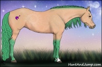 Horse Color:Watercolor Buckskin 