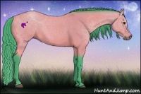 Horse Color:Watercolor Buckskin 