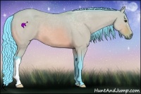 Horse Color:Watercolor Bay Dun 