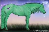Horse Color:Watercolor Black