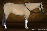 Horse Color:Bay Dun Tobiano 