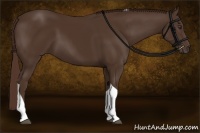 Horse Color:Liver Chestnut Tobiano Rabicano 
