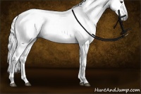 Horse Color:Gray Liver Chestnut Tobiano 