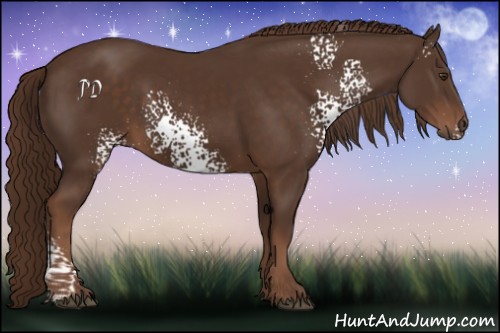 Horse Color:White Spotted Liver Chestnut 