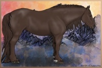 Horse Color:Liver Chestnut 