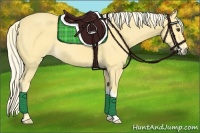 Horse Color:Palomino