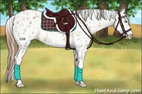 Horse Color:Amber Cream Champagne Appaloosa  and Amber Cream Champagne Appaloosa 