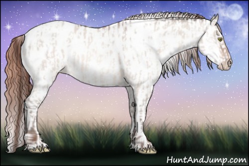 Horse Color:Amber Champagne Dun Appaloosa  and Amber Champagne Dun Appaloosa 