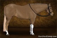 Horse Color:Chocolate Palomino Tobiano 