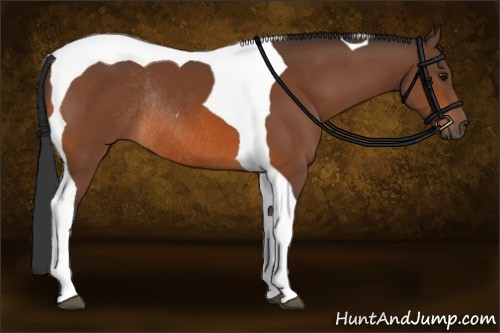 Horse Color:Bay Tobiano Rabicano